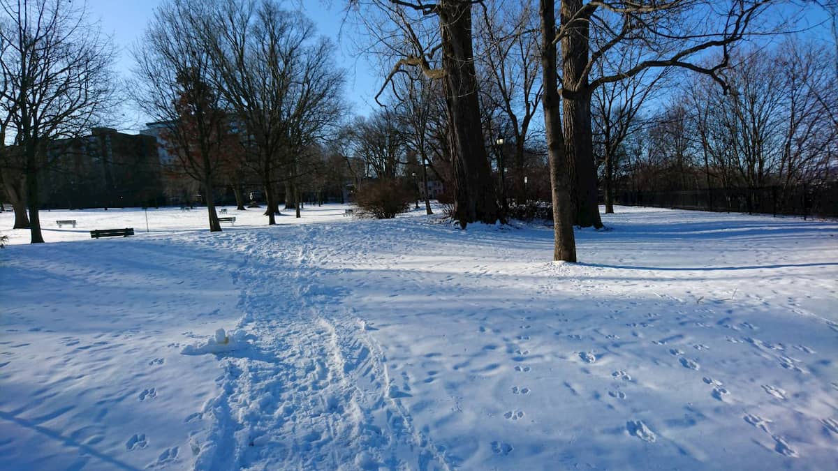 公園内の冬の景色