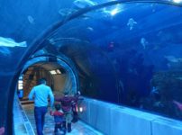 ケベックシティの観光名所「ケベック水族館（aquarium de Québec）」