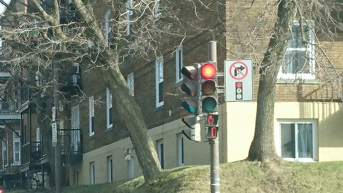 ケベックは赤信号でも進める？運転前に知りたい交通ルールと道路事情