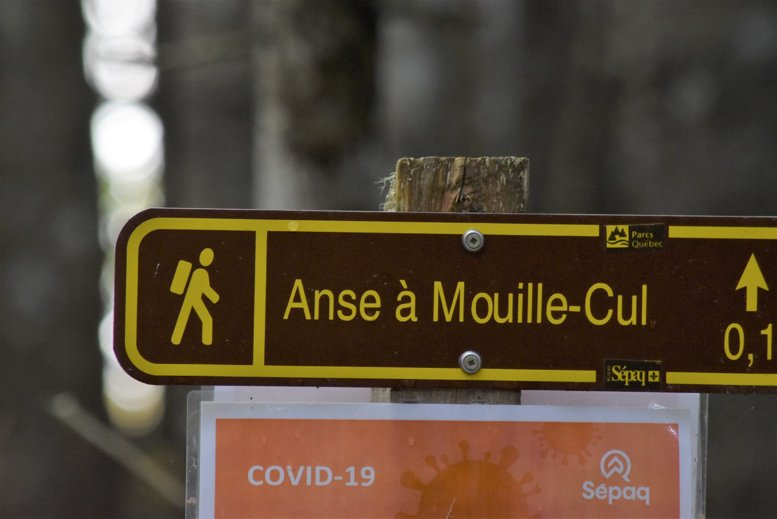 ケベックの町で見つけた面白いフランス語